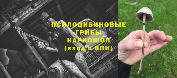 мет Белокуриха