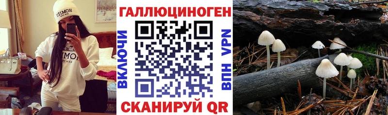 купить наркотик  Кущёвская  Псилоцибиновые грибы мицелий 